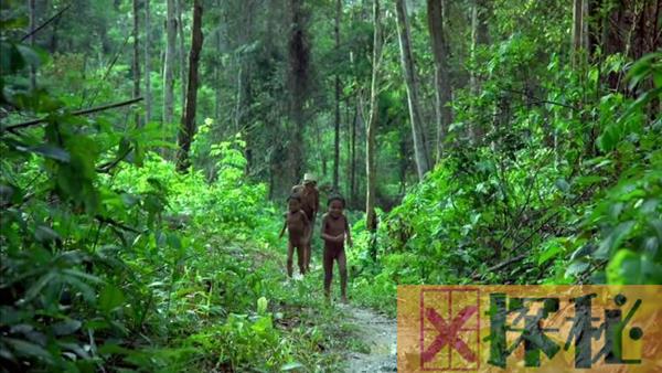 亚马逊原始森林有多可怕?恐怖生物让人危险重重