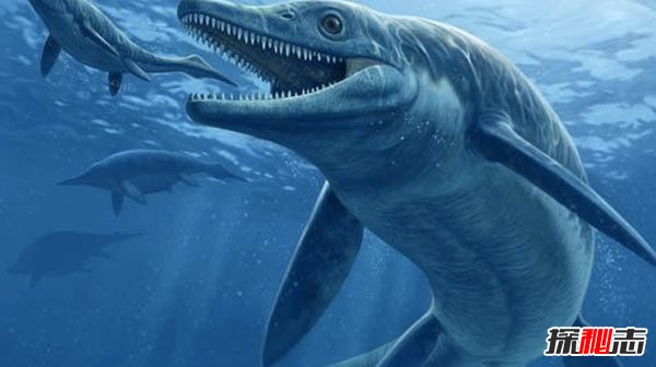 已灭绝的十大海洋巨怪 第二牙齿多达百颗(庆幸已消失)