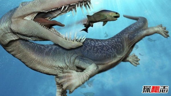 已灭绝的十大海洋巨怪 第二牙齿多达百颗(庆幸已消失)