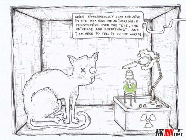 薛定谔的猫比喻什么？薛定谔的猫通俗解释