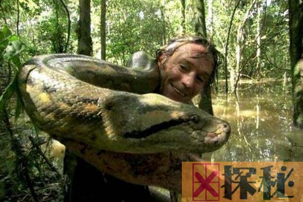 世界蛇王：奥斯汀·斯蒂文斯，与毒蛇共处107天(破记录)