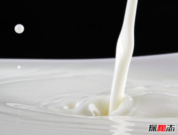 世界奶产量最高的10个国家 德国第五,第一你猜的到吗?