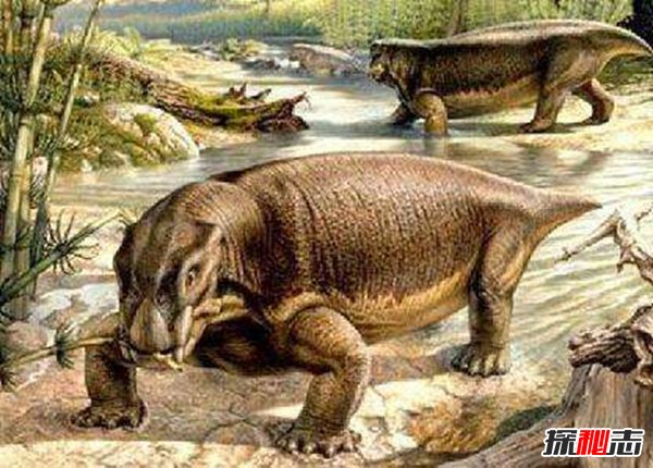 比恐龙还早的八大巨兽 陆行鲸水獭与鳄鱼结合体