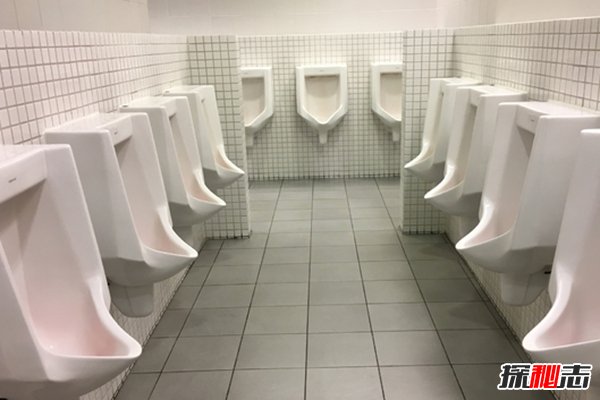 哪个国家厕所最少?盘点世界上厕所最少的10大国家