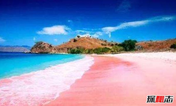 巴哈马粉色沙滩骗局?去巴哈马旅游10大注意事项