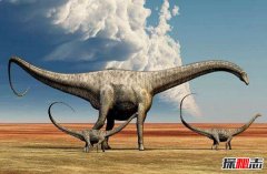 世界上最大的恐龙 地震龙可让大地地震体长超40米