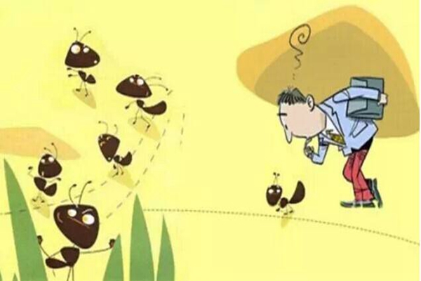 懒蚂蚁效应是什么?为什么企业离不开20%“懒员工”