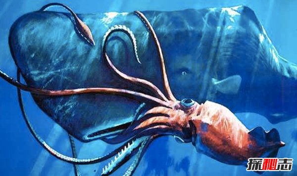 深海十大被发现的新物种 第三伪装大师,第一大小堪比汽车