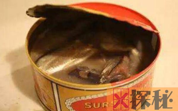 鲱鱼罐头为什么这么臭?制作过程让人沉默