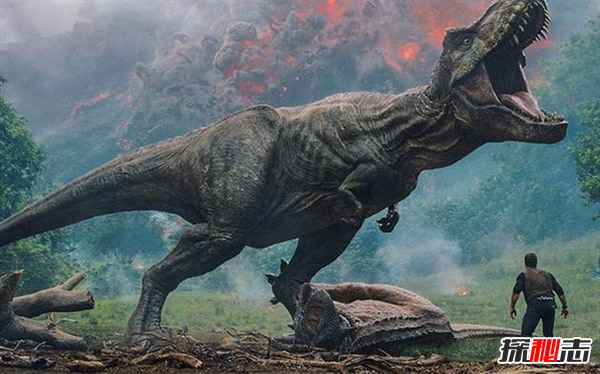 十大战斗力最强恐龙 恐龙中最厉害的第一名是谁