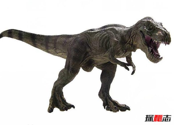 恐龙之王霸王龙 侏罗纪晚期顶级掠食者（食物链顶端）
