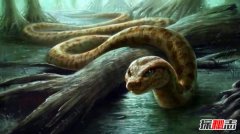 史前地球6大霸主 泰坦巨蟒史上最长巨蛇可达12米