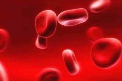 血为什么是红色的?红细胞是血小板的30倍(血液含量最高)