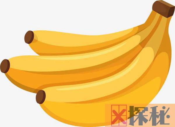 吃香蕉会胖吗?营养丰富水分充足（可以减肥）