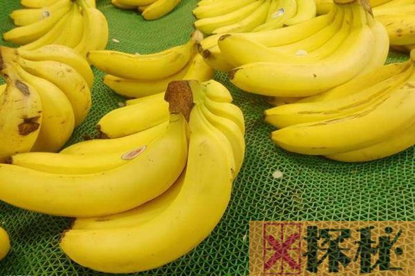 香蕉不能和什么一起吃?盘点7种香蕉同食禁忌(相克食物)