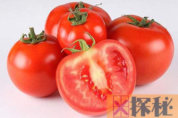 西红柿不能和什么一起吃?这7种食物和西红柿相克