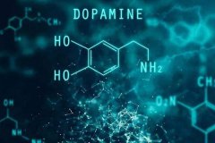 多巴胺是什么?大脑的奖励机制，产生愉悦感受(让人上瘾)