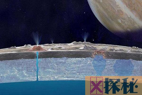 木卫二发现鲸鱼?NASA观测到惊人景象，木卫二上或存生命