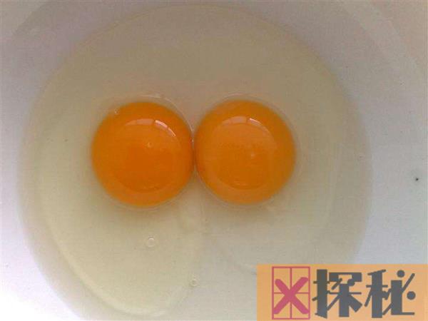 土鸡蛋比普通鸡蛋更有营养吗?原来这么久钱都白花了