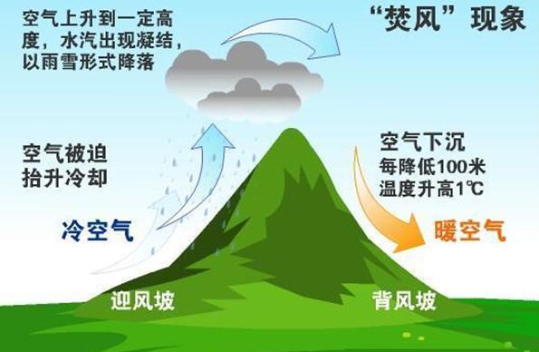 焚风效应是什么，一种天气现象/温升湿降形成干热风