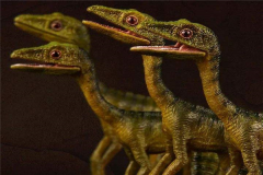 美颌龙吃什么 科学家在口腔内发现完整蜥蜴