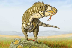 南方巨兽龙生活在哪个时期 它是体型庞大的食肉动物