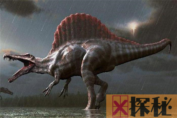 棘龙的天敌是什么恐龙 再厉害的恐龙都有天敌