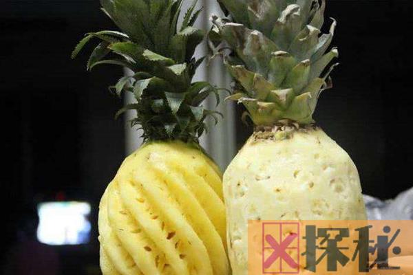 凤梨是不是菠萝?为什么凤梨比菠萝贵很多