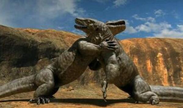 澳洲魔龙灭绝之谜，4万年前被人类杀光（世界最大蜥蜴）
