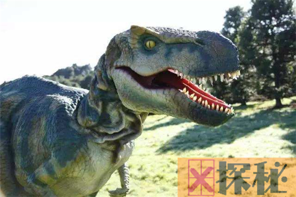 新西兰活捉一只恐龙是真的吗？极大可能是炒作(玩具恐龙)