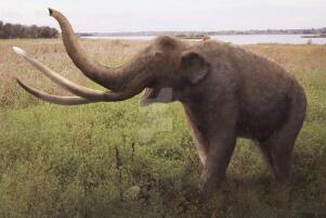 世界上最大的大象，古棱齿象（体长4米/1万年前灭绝）