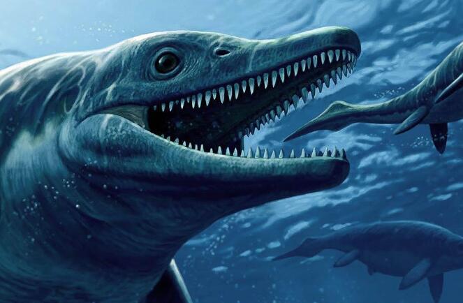 海豚的祖宗鱼龙，白垩纪最强水生食肉动物（身长达23米）