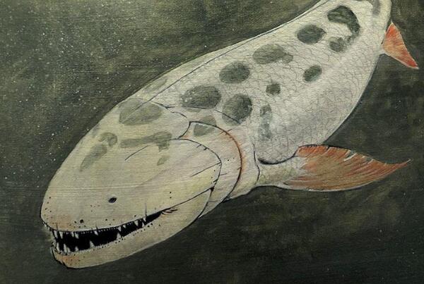 泥盆纪最凶猛的生物，含肺鱼（长4米重2吨/可以单挑邓氏鱼）