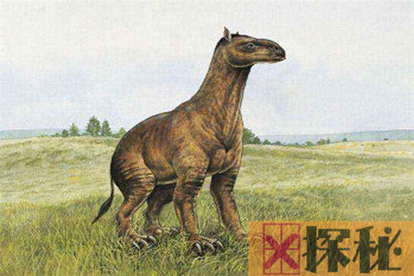 史前始祖马身形和鹿相似 50年前退化为三趾