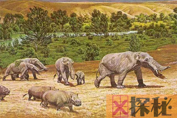 四棱齿象与现代象极为相似 堪称当时最大的哺乳动物