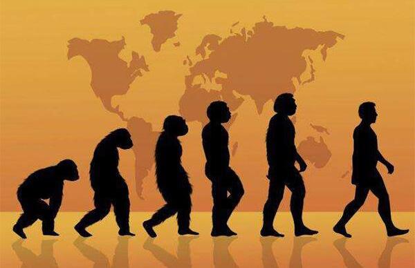 地球上第一个人是谁，20岁的女猿人露西（距今320万年）