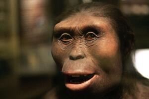 地球上第一个人是谁，20岁的女猿人露西（距今320万年）