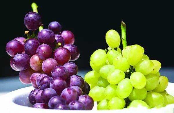 提子和葡萄的区别，吃提子不用吐籽（葡萄较酸提子偏甜）