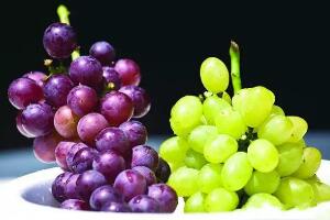 提子和葡萄的区别，吃提子不用吐籽（葡萄较酸提子偏甜）