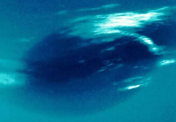 海王星有海吗，外表无液态水（内部有一片水氨海洋）