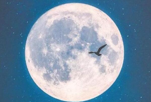 月亮自转一圈多少时间，27.3天（月球一天相对于一个月）