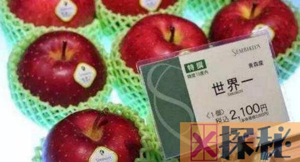 日本最贵的几种水果 第一价格昂贵最低价值150美元一个