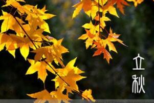立秋节气的含义是什么，秋天来了（每年的8月7-9日）