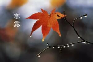 寒露节气的含义是什么，秋季时节的正式开始（每年的10月8-9日）