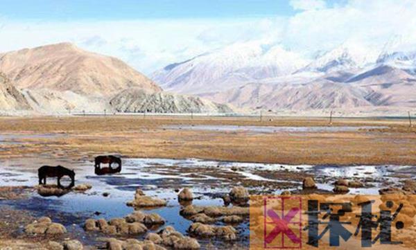 喀什噶尔河的源头在哪里 它是新疆的内流河（海拔高）