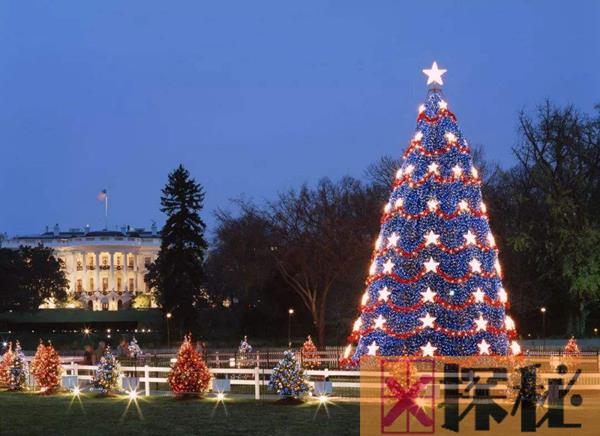 世界上最贵的圣诞树：专业设计师设计价值1.05亿元人民币