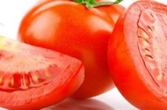 西红柿和豆腐能一起吃吗 食用西红柿和豆腐的禁忌
