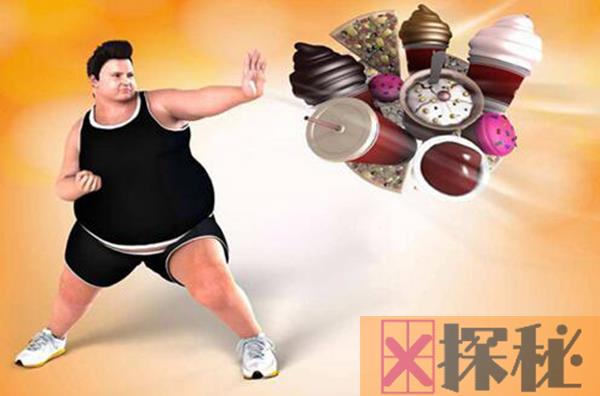 全身脂肪消耗顺序是怎样的 怎样做到科学减肥