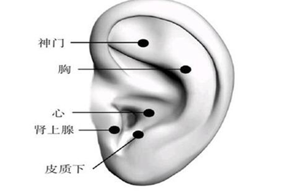 耳部神门的准确位置 耳部神门的按压方法有哪些