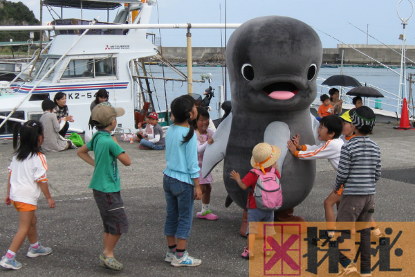 日本人杀海豚七大原因：第一杀海豚节的习俗是源头
